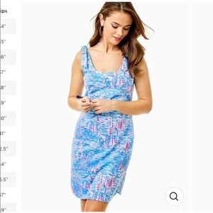 Lilly Pulitzer Rivers tank dress in the "Zanzibar Blue Boatylicious" print